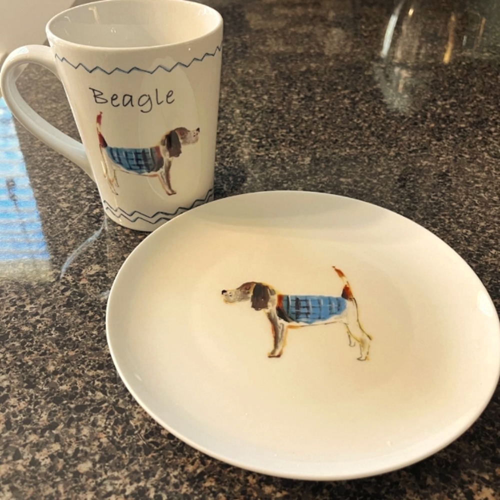 A plate and cup dog set